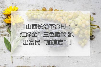 山西长治革命村：“红绿金”三色赋能 跑出富民“加速度”