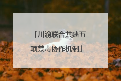 川渝联合共建五项禁毒协作机制
