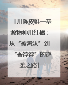 川陈皮唯一基源物种川红橘：从“被淘汰”到“香饽饽”的逆袭之路