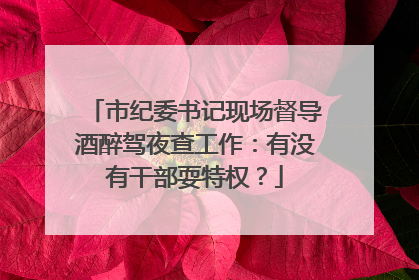 市纪委书记现场督导酒醉驾夜查工作：有没有干部耍特权？