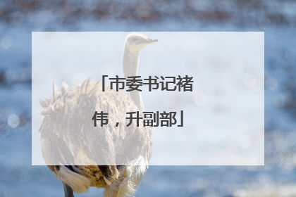 市委书记褚伟，升副部