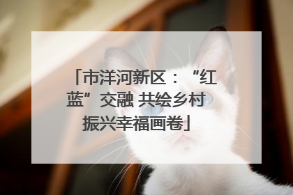 市洋河新区：“红蓝”交融 共绘乡村振兴幸福画卷