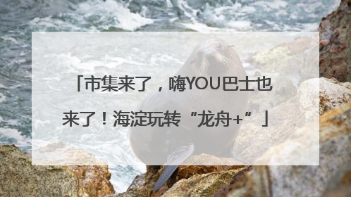 市集来了，嗨YOU巴士也来了！海淀玩转“龙舟+”