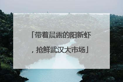 带着晨露的阳新虾，抢鲜武汉大市场