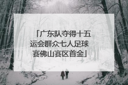 广东队夺得十五运会群众七人足球赛佛山赛区首金