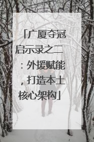 广厦夺冠启示录之二：外援赋能，打造本土核心架构