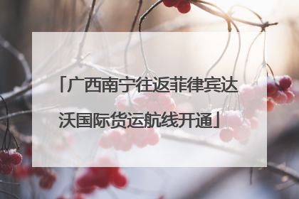 广西南宁往返菲律宾达沃国际货运航线开通