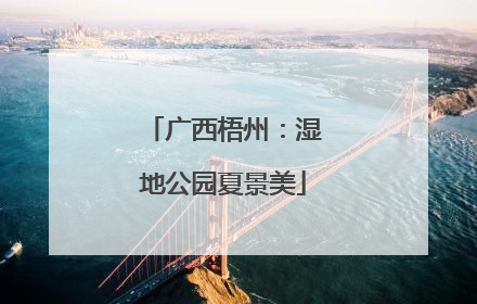 广西梧州：湿地公园夏景美
