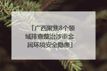 广西聚焦8个领域排查整治涉重金属环境安全隐患
