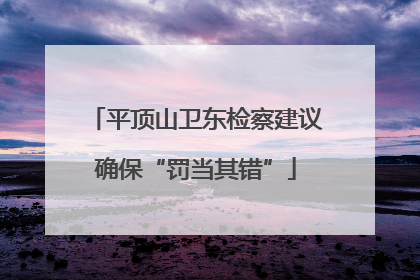 平顶山卫东检察建议确保“罚当其错”