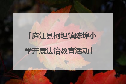 庐江县柯坦镇陈埠小学开展法治教育活动