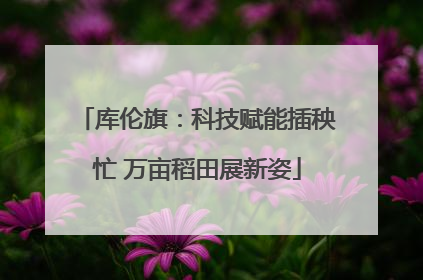 库伦旗：科技赋能插秧忙 万亩稻田展新姿