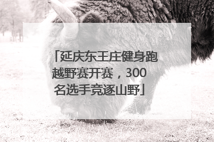 延庆东王庄健身跑越野赛开赛，300名选手竞逐山野