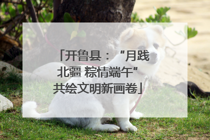 开鲁县：“月践北疆 粽情端午”共绘文明新画卷