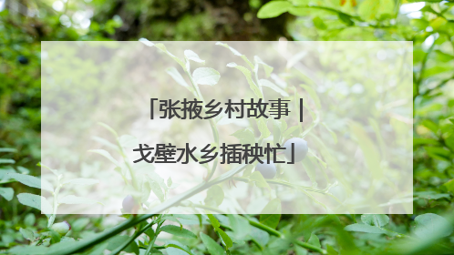 张掖乡村故事｜戈壁水乡插秧忙