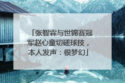 张智霖与世锦赛冠军赵心童切磋球技，本人发声：很梦幻