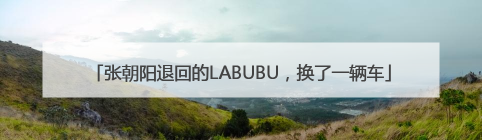 张朝阳退回的LABUBU，换了一辆车