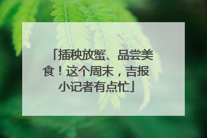 插秧放蟹、品尝美食！这个周末，吉报小记者有点忙