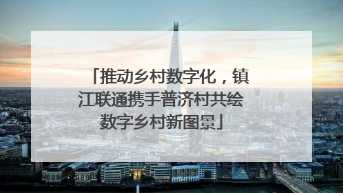 推动乡村数字化，镇江联通携手普济村共绘数字乡村新图景