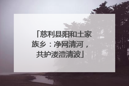 慈利县阳和土家族乡：净网清河，共护溇澧清波