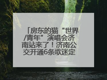 房东的猫“世界/青年”演唱会济南站来了！济南公交开通6条歌迷定制专线
