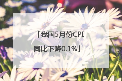 我国5月份CPI同比下降0.1%