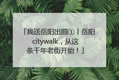 我送岳阳出圈①丨岳阳citywalk，从这条千年老街开始！