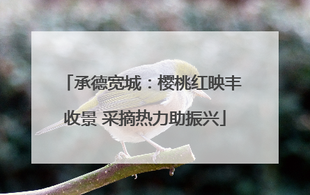 承德宽城：樱桃红映丰收景 采摘热力助振兴
