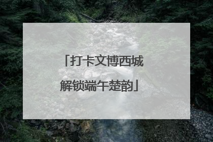 打卡文博西城 解锁端午楚韵