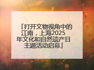 打开文物视角中的江南，上海2025年文化和自然遗产日主题活动启幕