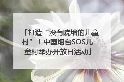 打造“没有院墙的儿童村”！中国烟台SOS儿童村举办开放日活动