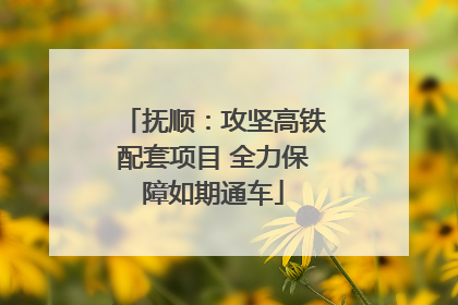 抚顺：攻坚高铁配套项目 全力保障如期通车