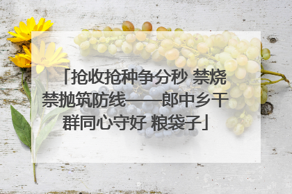 抢收抢种争分秒 禁烧禁抛筑防线——郎中乡干群同心守好 粮袋子
