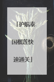 护航泰国榴莲快速通关