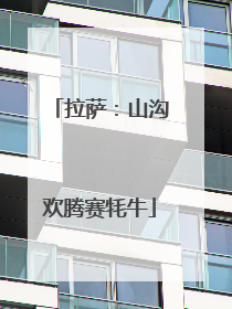 拉萨：山沟欢腾赛牦牛