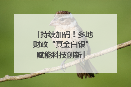 持续加码！多地财政“真金白银”赋能科技创新