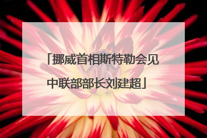 挪威首相斯特勒会见中联部部长刘建超