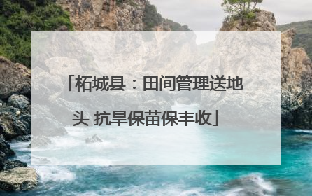 柘城县：田间管理送地头 抗旱保苗保丰收