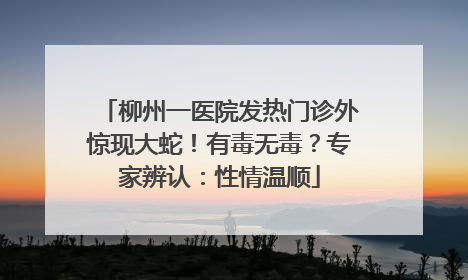 柳州一医院发热门诊外惊现大蛇！有毒无毒？专家辨认：性情温顺