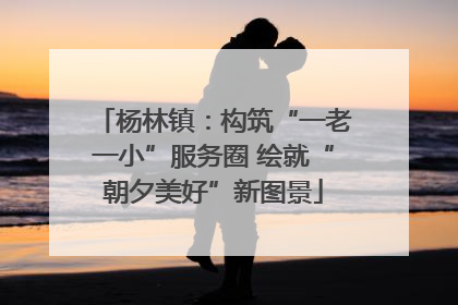 杨林镇：构筑“一老一小”服务圈 绘就“朝夕美好”新图景