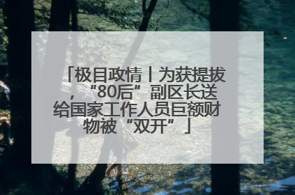 极目政情丨为获提拔，“80后”副区长送给国家工作人员巨额财物被“双开”