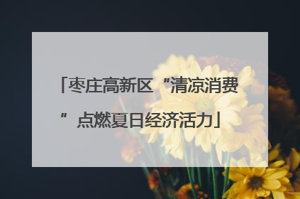 枣庄高新区“清凉消费”点燃夏日经济活力