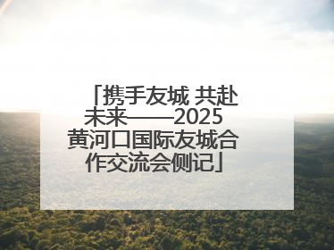 携手友城 共赴未来——2025黄河口国际友城合作交流会侧记