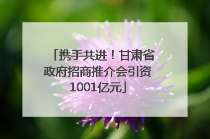 携手共进！甘肃省政府招商推介会引资1001亿元