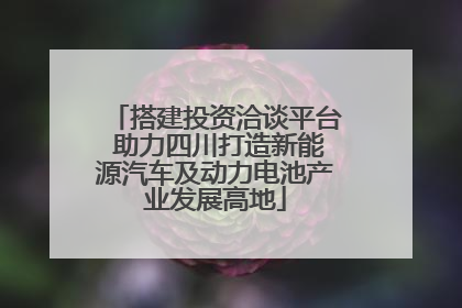 搭建投资洽谈平台 助力四川打造新能源汽车及动力电池产业发展高地