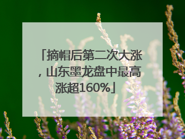 摘帽后第二次大涨，山东墨龙盘中最高涨超160%