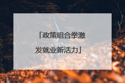 政策组合拳激发就业新活力