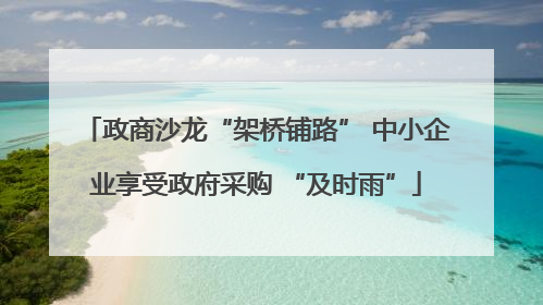 政商沙龙“架桥铺路” 中小企业享受政府采购 “及时雨”