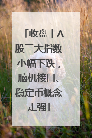 收盘丨A股三大指数小幅下跌，脑机接口、稳定币概念走强