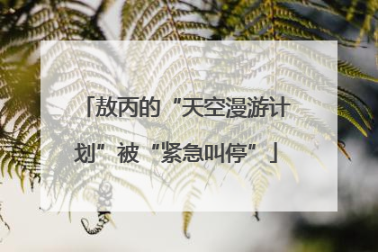 敖丙的“天空漫游计划”被“紧急叫停”